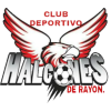 CD Halcones de Rayon