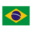 Brasil U15<font color=#880000>(N)</font>