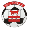 Bulle<font color=#880000>(N)</font>